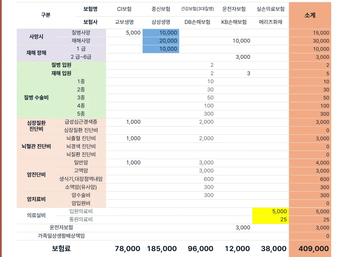 보장분석 — 가입한 보험 다섯 건을 보장 항목별로 펼친 표